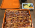Dinner at Unagi Uomasa (うなぎ 魚政)