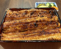 Dinner at Unagi Uomasa (うなぎ 魚政)