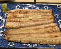 Dinner at Unagi Uomasa (うなぎ 魚政)