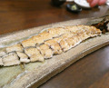 Dinner at Uran (う嵐)