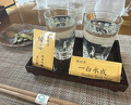 Dinner at Ishiusuhiki Soba Kobo Yama no Mi (石臼挽き蕎麦香房 山の実)