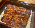 Dinner at Yamasei (山勢)