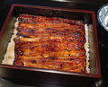 Dinner at Yamasei (山勢)