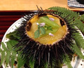 Dinner at Yo (陽)