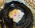 Dinner at Sushi Daimon (鮨 大門)