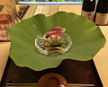 Dinner at Dojin (道人)