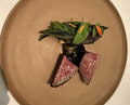 Dinner at ESqUISSE (エスキス)