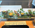 Dinner at Oryori Fujii (御料理ふじ居)