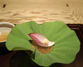 Dinner at Ginza Fujiyama
