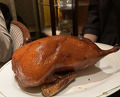 Dinner at Chinese Hanten Fureika (中国飯店 富麗華)