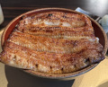 Dinner at Ichi Unagi (一鰻)