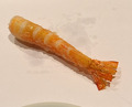 Dinner at Tempura Kyoboshi (天ぷら 京星)