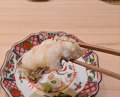 Dinner at Kyodaisushi