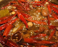Dinner at China Sichuan Shuka Manzan (中国四川酒家 蔓山)