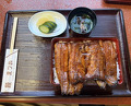 Dinner at Unagi no Matsu Ka (うなぎのまつ嘉)