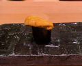 Dinner at Sushi Matsumoto (鮨 まつ本)