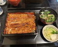 Dinner at Unagi Musashino (鰻 むさし乃)