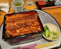 Dinner at Unagi Musashino (鰻 むさし乃)