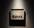 Dinner at RADICE (RADICE)