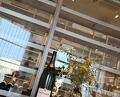 Dinner at Restaurant Sola (Restaurant Sola)