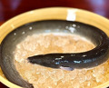 Dinner at Rin (麟)
