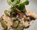 Dinner at Japanese inspired Italian cuisine sai (日本のイタリア料理店 sai)
