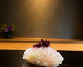 Dinner at Sushi Sanshin