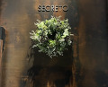 Dinner at SECRETO (SECRETO)