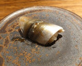 Dinner at Soshi (壮士)