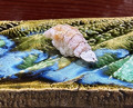Dinner at Sushi Sho Nomura (鮨匠 のむら)