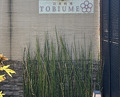 Dinner at Japanese Cuisine Tobi Ume (日本料理 TOBIUME)