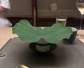 Dinner at Tokuha Motonari