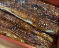 Dinner at Unagi Tei Tomoei (うなぎ亭 友栄)