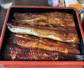 Dinner at Unagi Tei Tomoei (うなぎ亭 友栄)