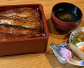 Dinner at Unagi Tei Tomoei (うなぎ亭 友栄)