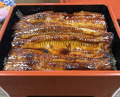 Dinner at Unagi Tei Tomoei (うなぎ亭 友栄)