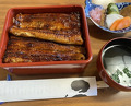 Dinner at Unagi Tei Tomoei (うなぎ亭 友栄)