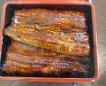 Dinner at Unagi Tei Tomoei (うなぎ亭 友栄)