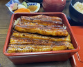 Dinner at Unagi Tei Tomoei (うなぎ亭 友栄)