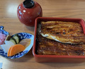 Dinner at Unagi Tei Tomoei (うなぎ亭 友栄)
