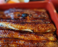Dinner at Unagi Tei Tomoei (うなぎ亭 友栄)