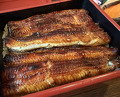 Dinner at Unagi Tei Tomoei (うなぎ亭 友栄)