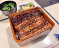 Dinner at Unagi Uomasa (うなぎ 魚政)