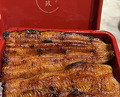 Dinner at Unagi Uomasa (うなぎ 魚政)