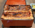 Dinner at Unagi Uomasa (うなぎ 魚政)