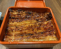 Dinner at Unagi Uomasa (うなぎ 魚政)