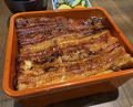Dinner at Unagi Uomasa (うなぎ 魚政)