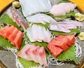 Dinner at Uotora (魚虎)