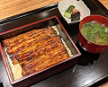 Dinner at Yamasei (山勢)