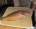 Dinner at Meizan Kimiya (名山 きみや)
